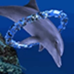 Logo of Dolphin Ring Trial android Application 