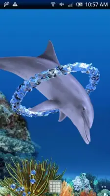 Dolphin Ring Trial android App screenshot 2